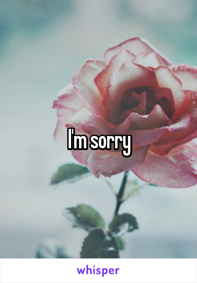 I'm sorry