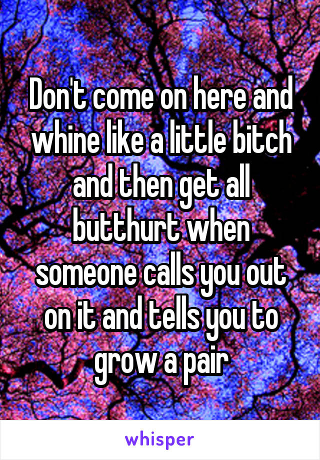 Don't come on here and whine like a little bitch and then get all butthurt when someone calls you out on it and tells you to grow a pair