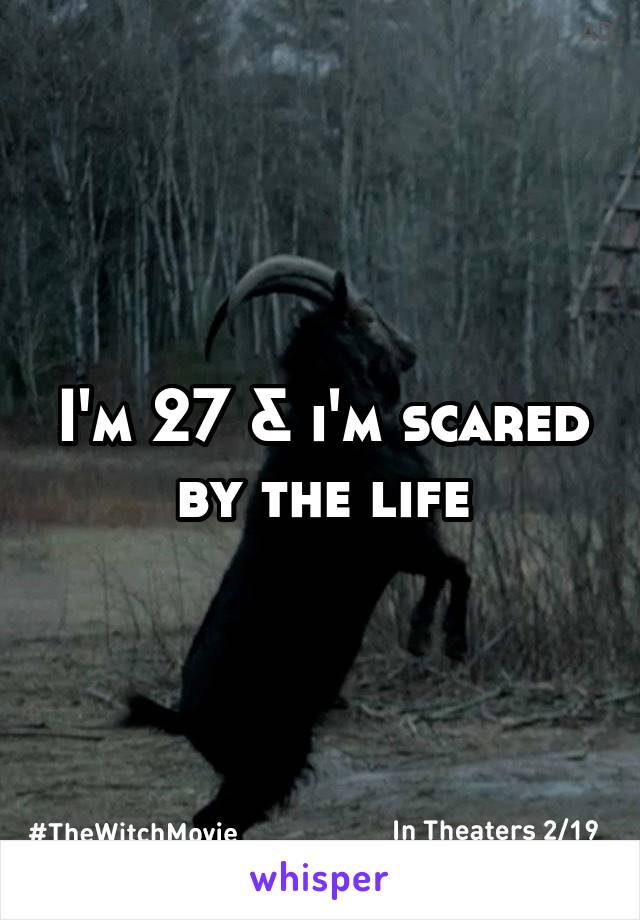 I'm 27 & i'm scared by the life