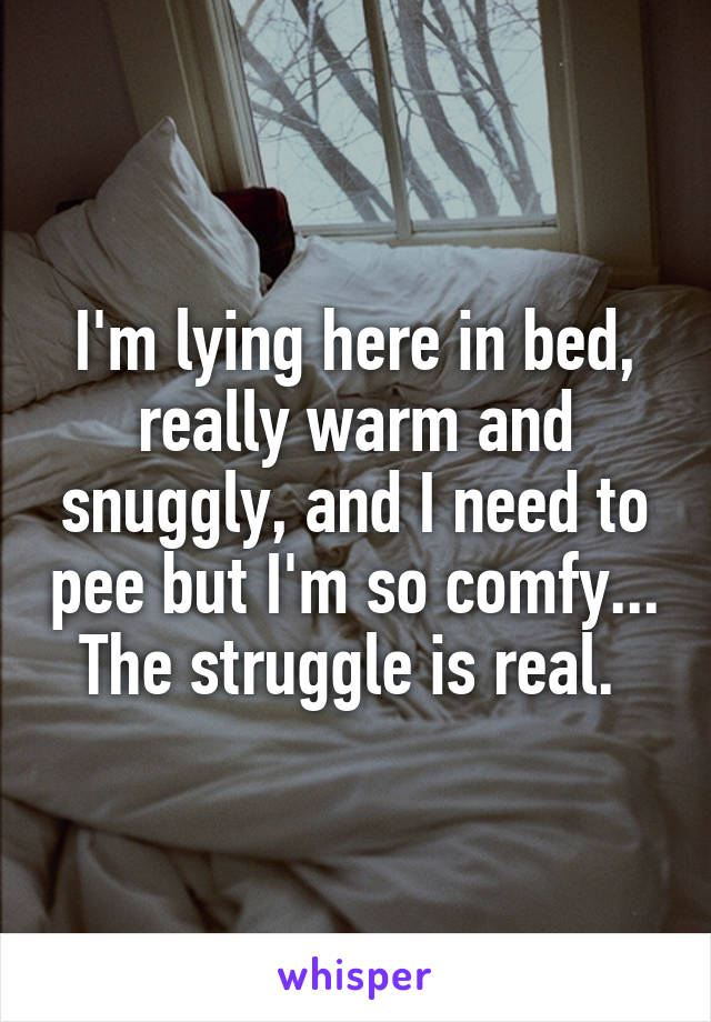 I'm lying here in bed, really warm and snuggly, and I need to pee but I'm so comfy... The struggle is real. 