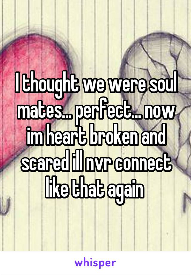 I thought we were soul mates... perfect... now im heart broken and scared ill nvr connect like that again 