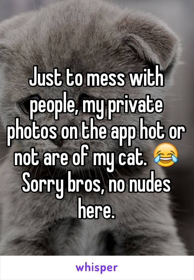 Just to mess with people, my private photos on the app hot or not are of my cat. 😂 Sorry bros, no nudes here.
