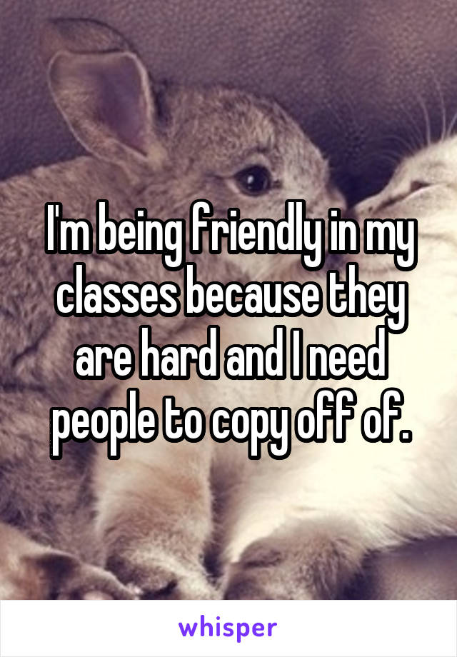 I'm being friendly in my classes because they are hard and I need people to copy off of.