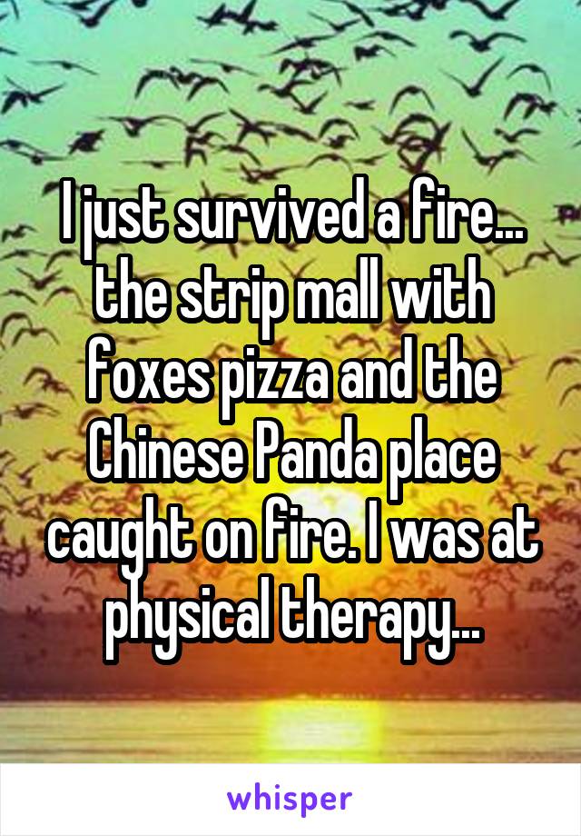 I just survived a fire... the strip mall with foxes pizza and the Chinese Panda place caught on fire. I was at physical therapy...