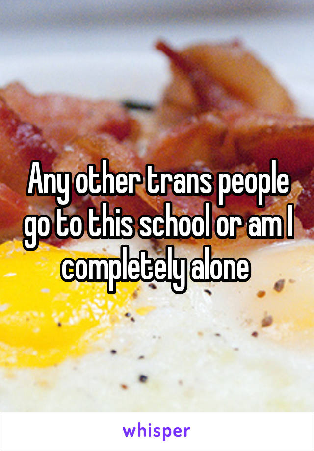 Any other trans people go to this school or am I completely alone 
