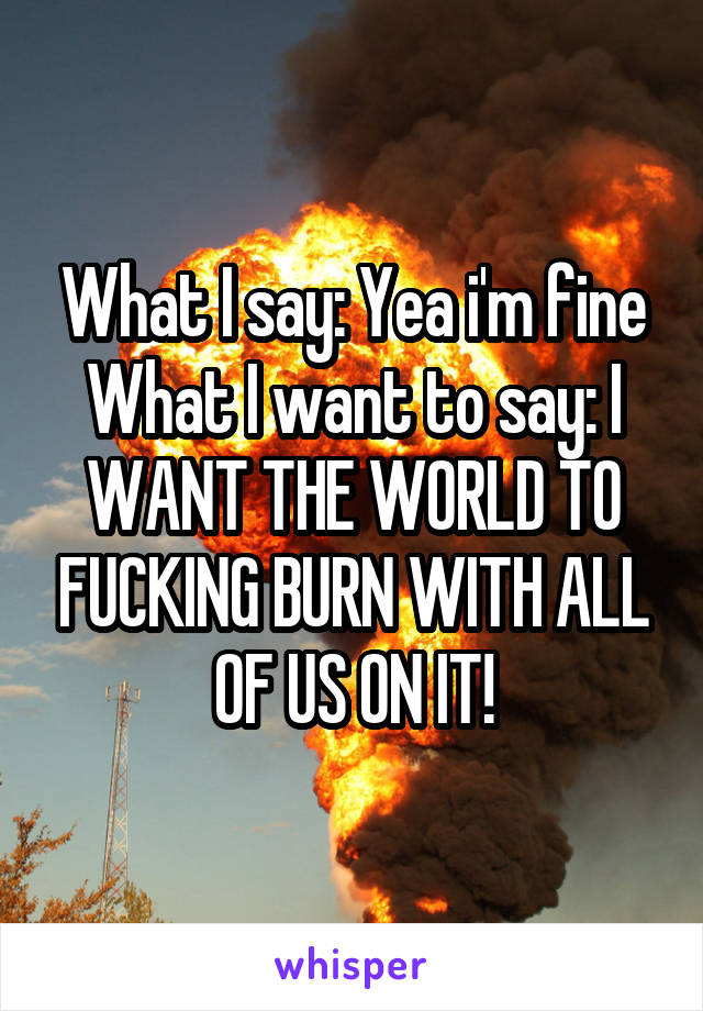 What I say: Yea i'm fine
What I want to say: I WANT THE WORLD TO FUCKING BURN WITH ALL OF US ON IT!