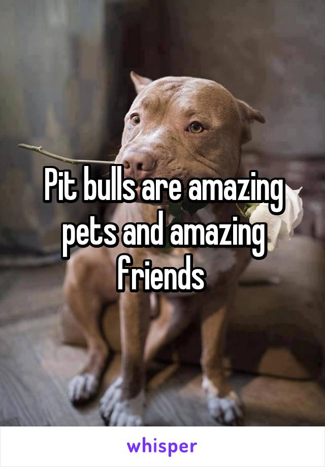 Pit bulls are amazing pets and amazing friends 