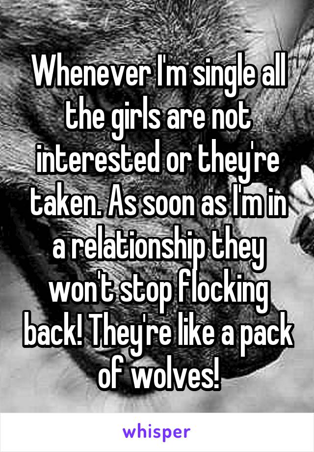 Whenever I'm single all the girls are not interested or they're taken. As soon as I'm in a relationship they won't stop flocking back! They're like a pack of wolves!