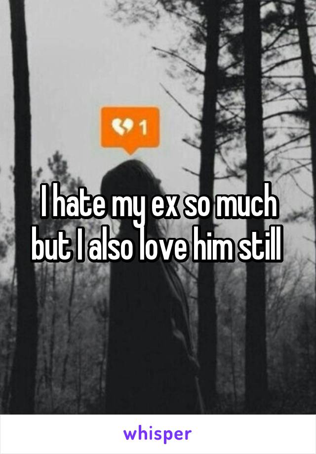 I hate my ex so much but I also love him still 