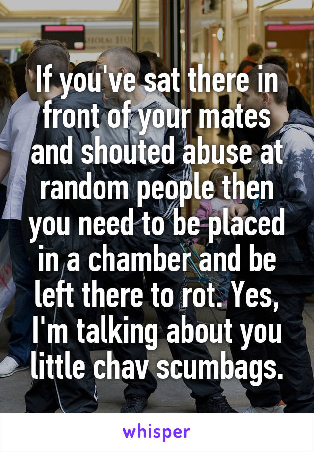 If you've sat there in front of your mates and shouted abuse at random people then you need to be placed in a chamber and be left there to rot. Yes, I'm talking about you little chav scumbags.