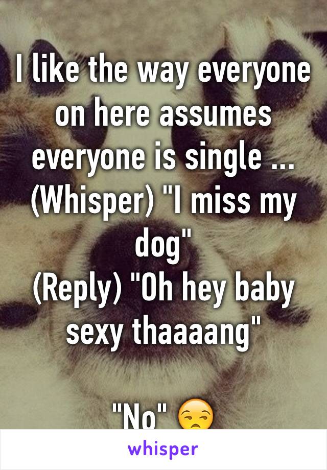 I like the way everyone on here assumes everyone is single ...
(Whisper) "I miss my dog" 
(Reply) "Oh hey baby sexy thaaaang" 

"No" 😒