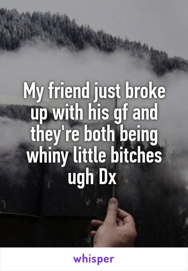 My friend just broke up with his gf and they're both being whiny little bitches ugh Dx 