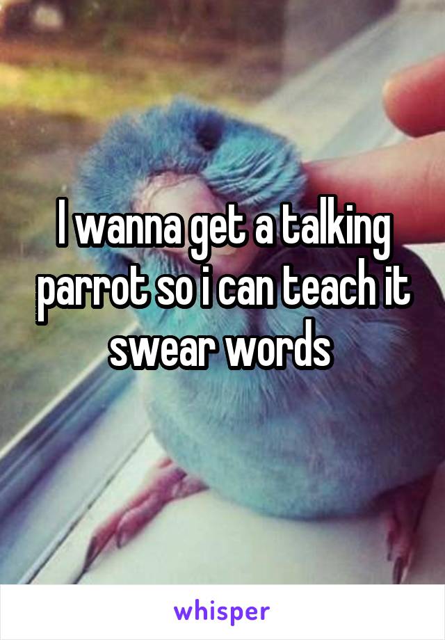 I wanna get a talking parrot so i can teach it swear words 
