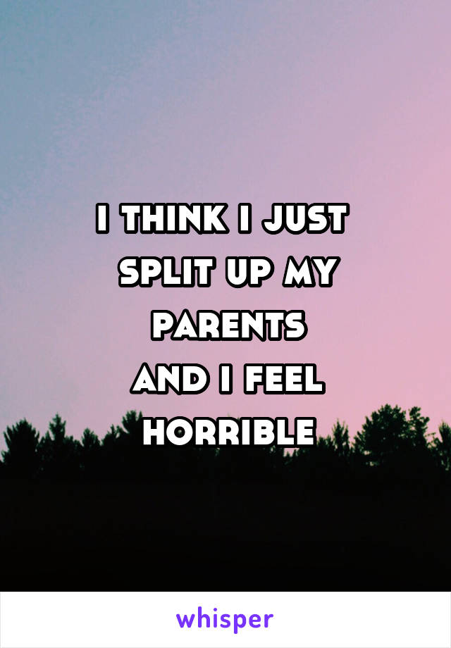 i think i just 
split up my parents
and i feel horrible