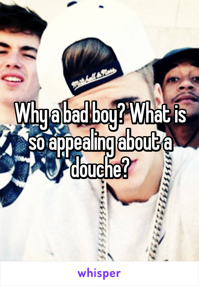 Why a bad boy? What is so appealing about a douche?