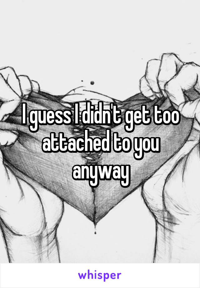 I guess I didn't get too attached to you anyway
