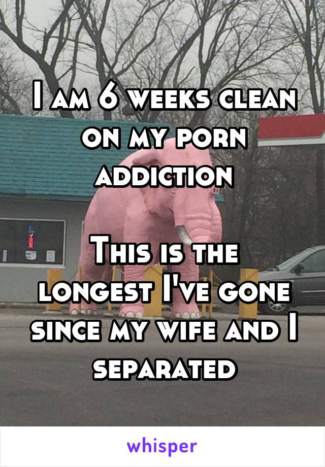 I am 6 weeks clean on my porn addiction

This is the longest I've gone since my wife and I separated