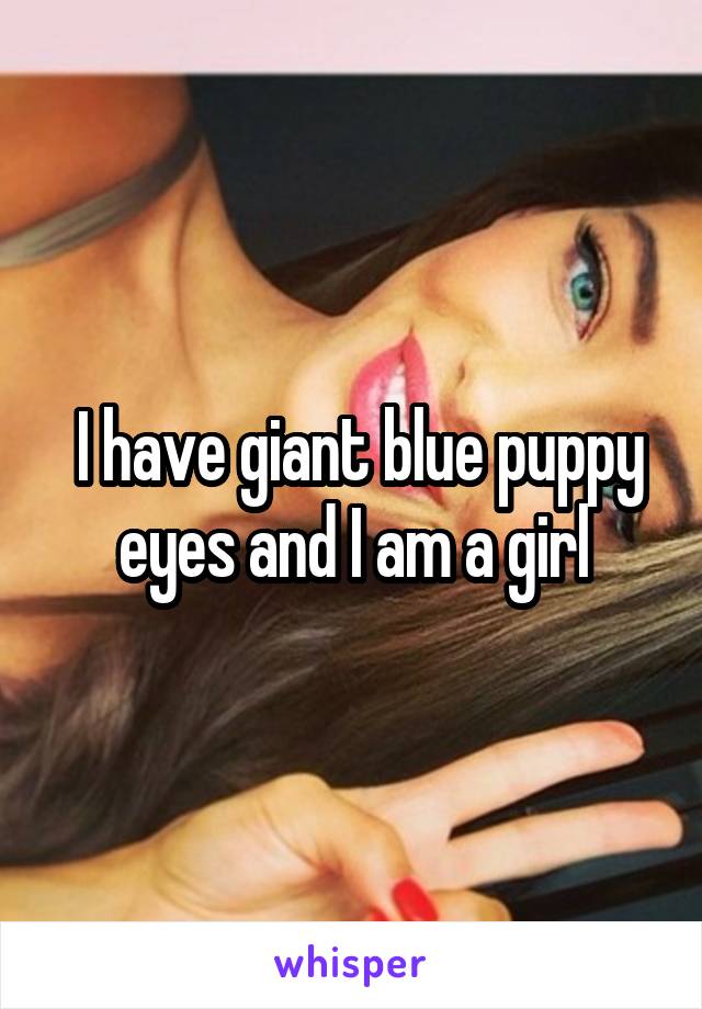  I have giant blue puppy eyes and I am a girl