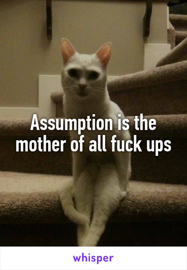 Assumption is the mother of all fuck ups