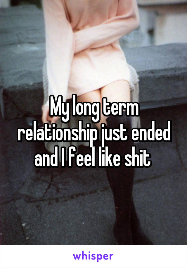 My long term relationship just ended and I feel like shit 