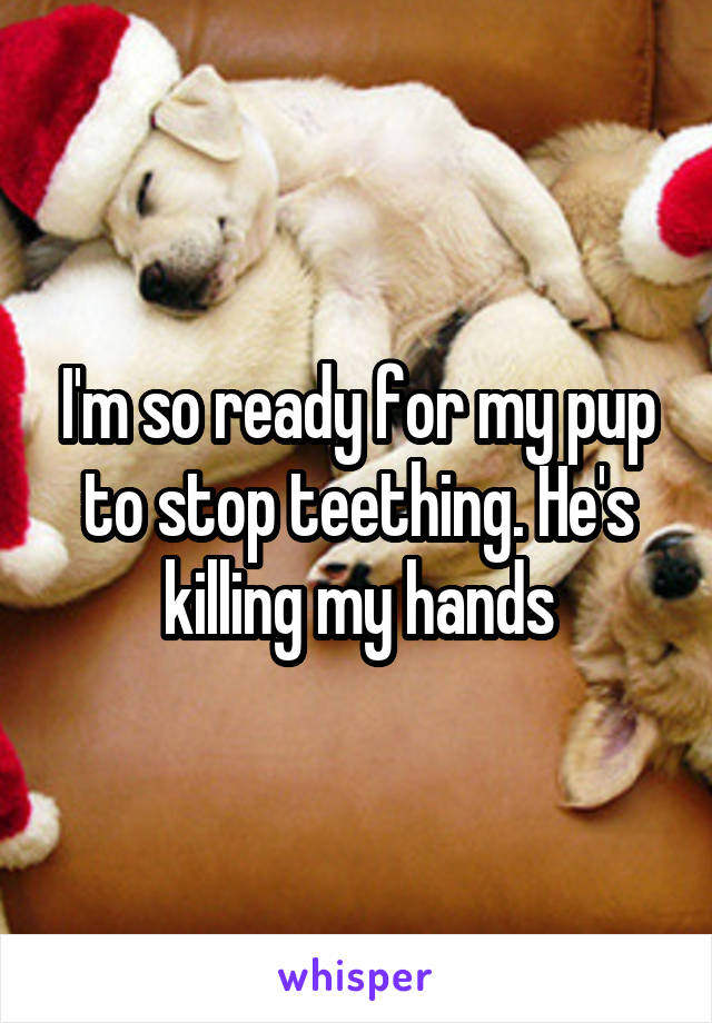 I'm so ready for my pup to stop teething. He's killing my hands