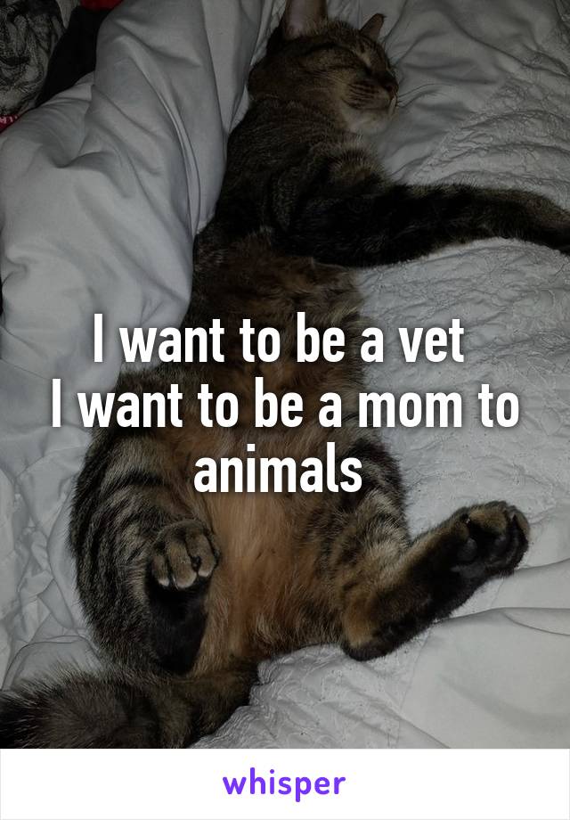 I want to be a vet 
I want to be a mom to animals 