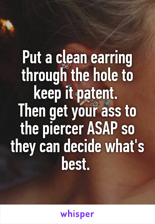 Put a clean earring through the hole to keep it patent. 
Then get your ass to the piercer ASAP so they can decide what's best. 