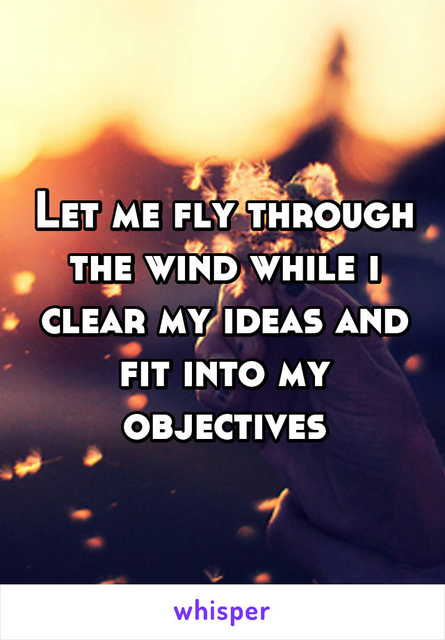 Let me fly through the wind while i clear my ideas and fit into my objectives