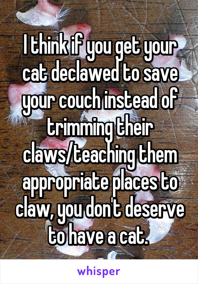 I think if you get your cat declawed to save your couch instead of trimming their claws/teaching them appropriate places to claw, you don't deserve to have a cat. 