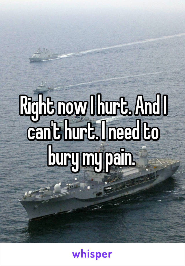 Right now I hurt. And I can't hurt. I need to bury my pain. 