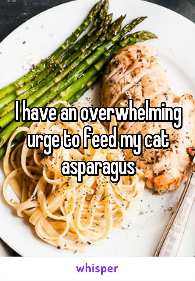 I have an overwhelming urge to feed my cat asparagus