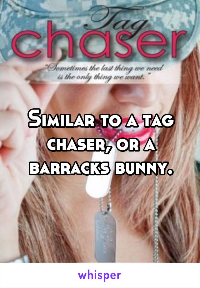 Similar to a tag chaser, or a barracks bunny.