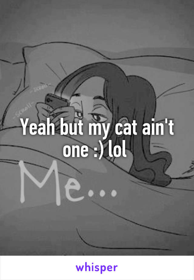 Yeah but my cat ain't one :) lol 