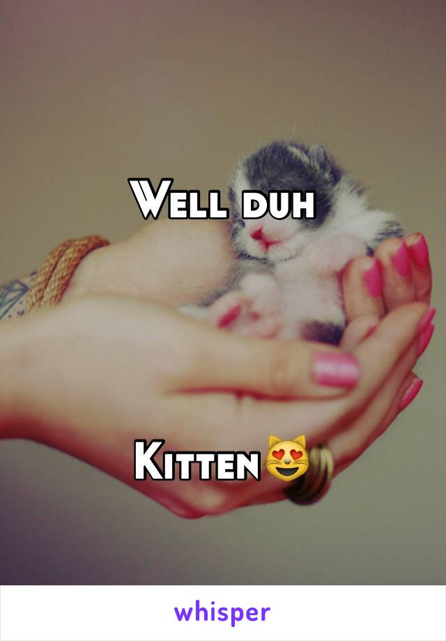 Well duh




Kitten😻