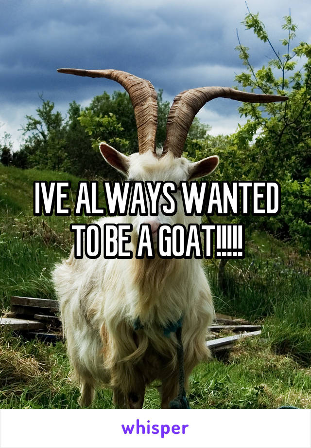 IVE ALWAYS WANTED TO BE A GOAT!!!!!