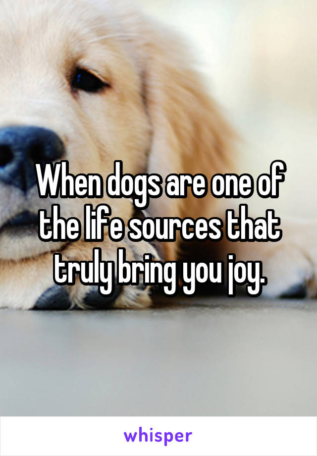 When dogs are one of the life sources that truly bring you joy.