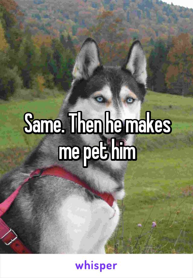 Same. Then he makes me pet him