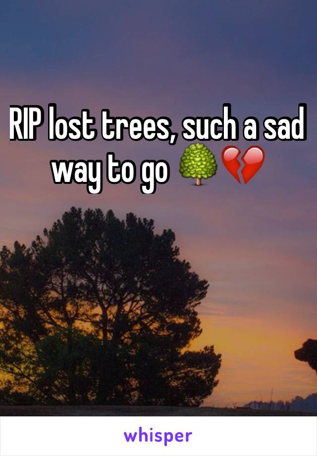 RIP lost trees, such a sad way to go 🌳💔