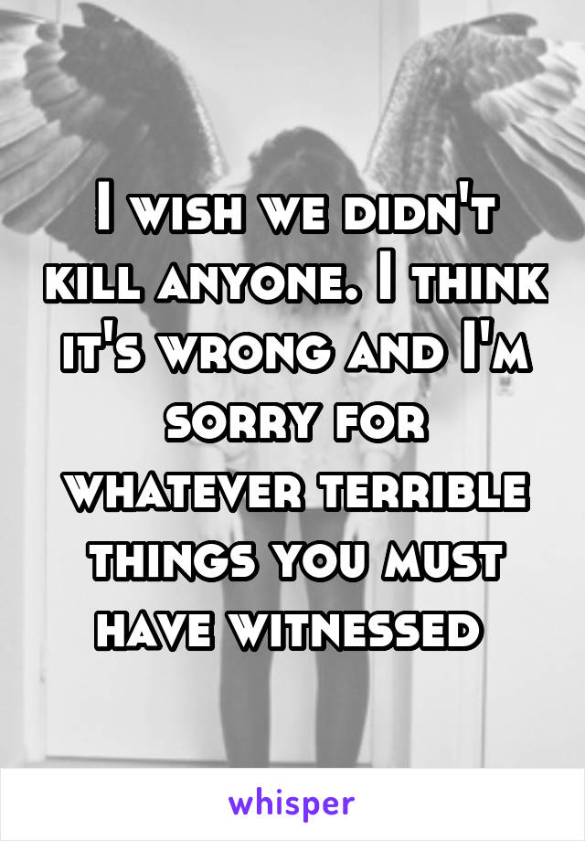 I wish we didn't kill anyone. I think it's wrong and I'm sorry for whatever terrible things you must have witnessed 