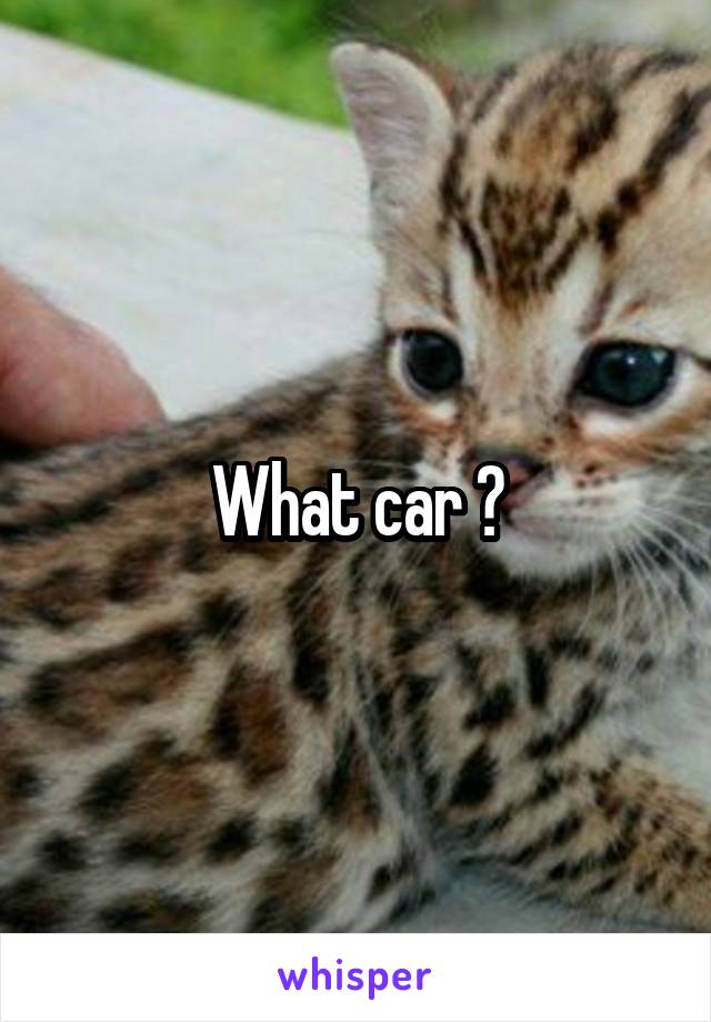 What car ?