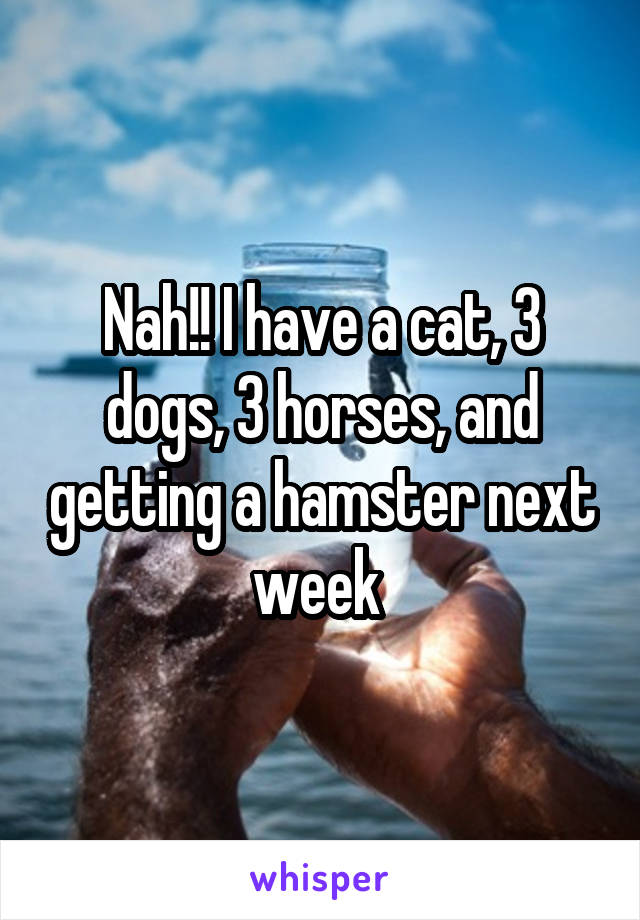 Nah!! I have a cat, 3 dogs, 3 horses, and getting a hamster next week 