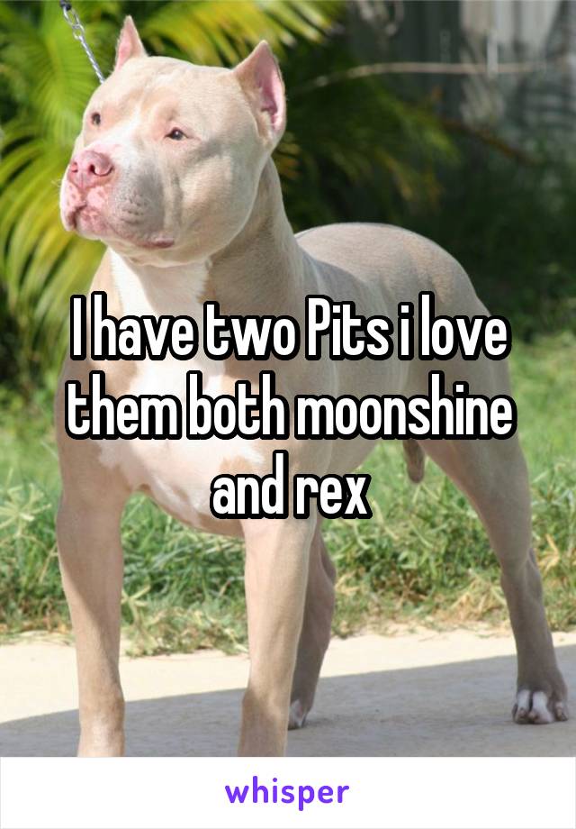 I have two Pits i love them both moonshine and rex