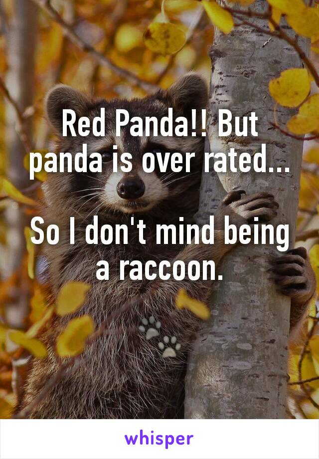 Red Panda!! But panda is over rated...

So I don't mind being a raccoon.

🐾