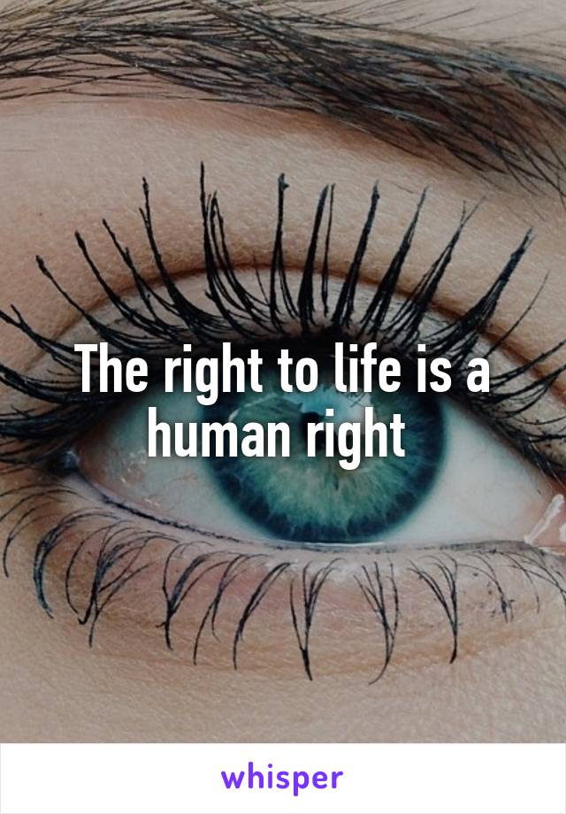 The right to life is a human right 