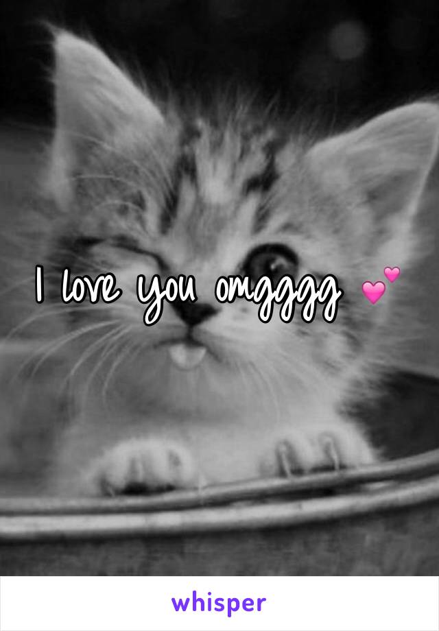 I love you omgggg 💕
