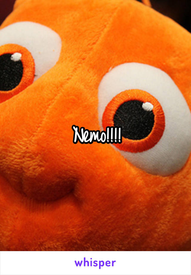 Nemo!!!!