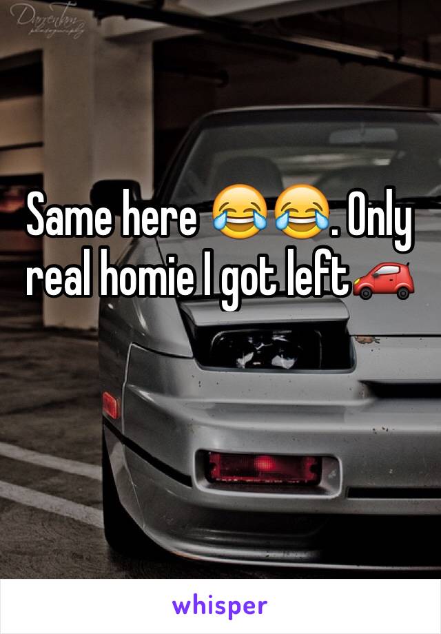 Same here 😂😂. Only real homie I got left🚗