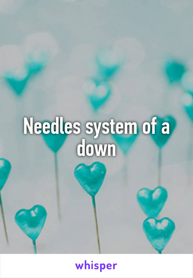 Needles system of a down