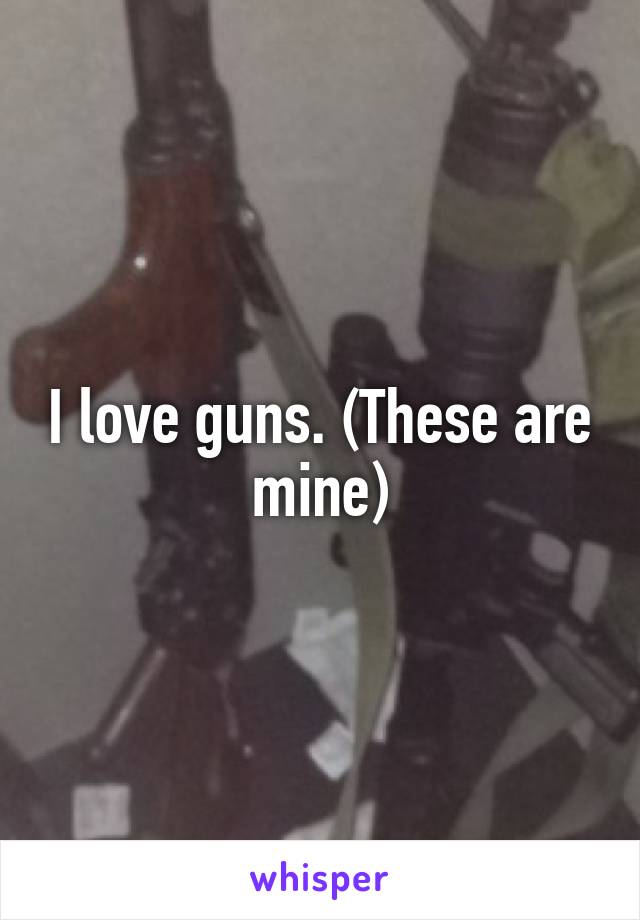 I love guns. (These are mine)