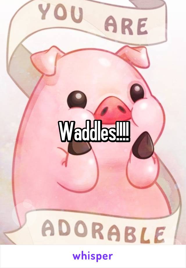 Waddles!!!!